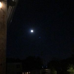 Meet your Posher, Steve